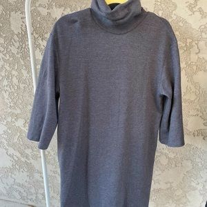 Zara Turtleneck Sweater Dress